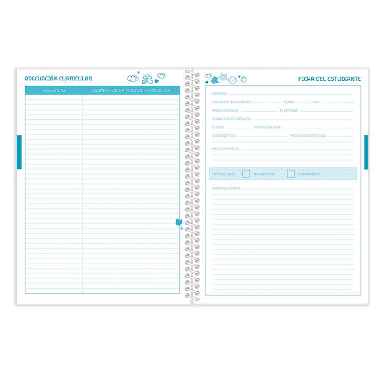 CUADERNO PLANIFICACIÓN EDUCADORA DIFERENCIAL