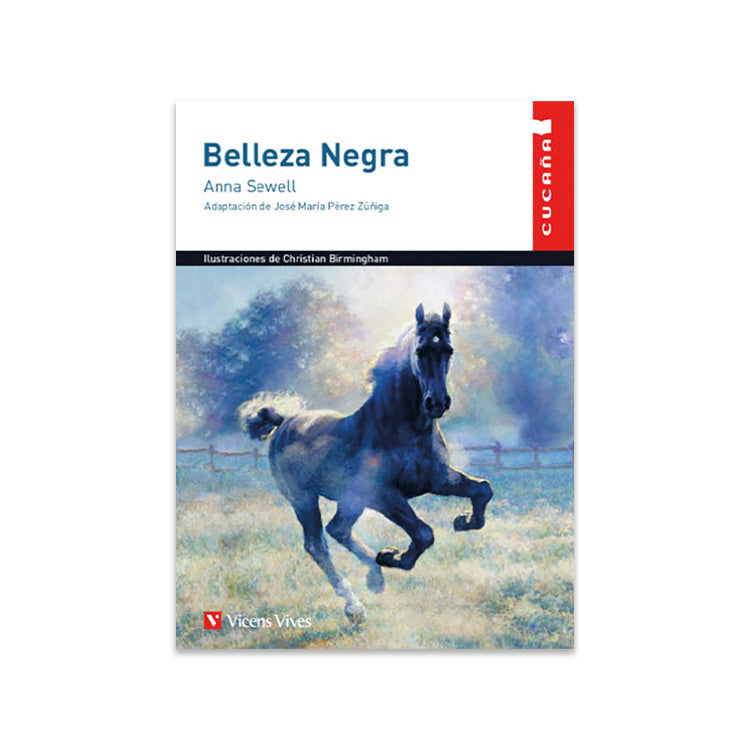 BELLEZA NEGRA