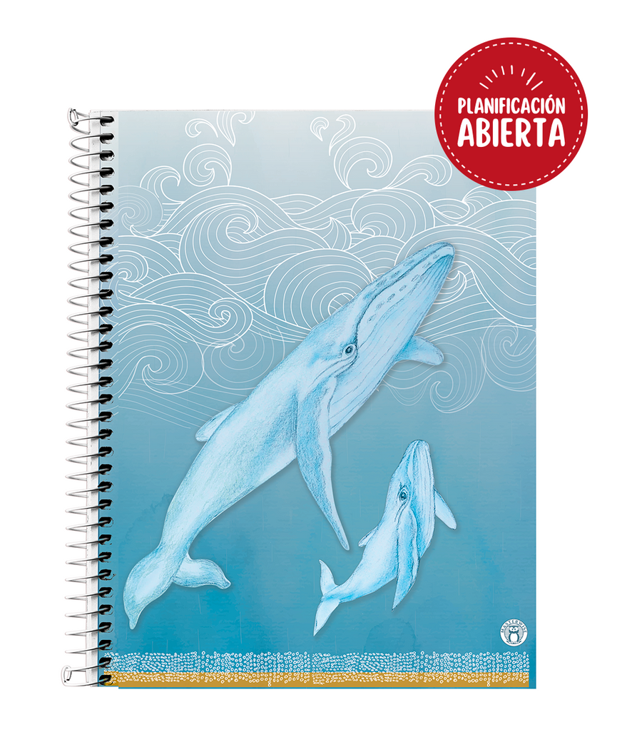 CUADERNO DE PLANIFICACIÓN BALLENAS