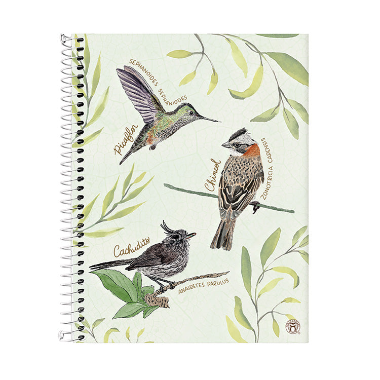 CUADERNO PLANIFICACIÓN AVES DE CHILE