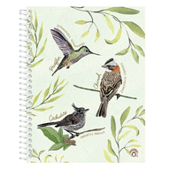 CUADERNO PLANIFICACIÓN AVES DE CHILE