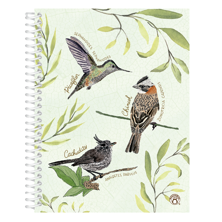 CUADERNO PLANIFICACIÓN AVES DE CHILE